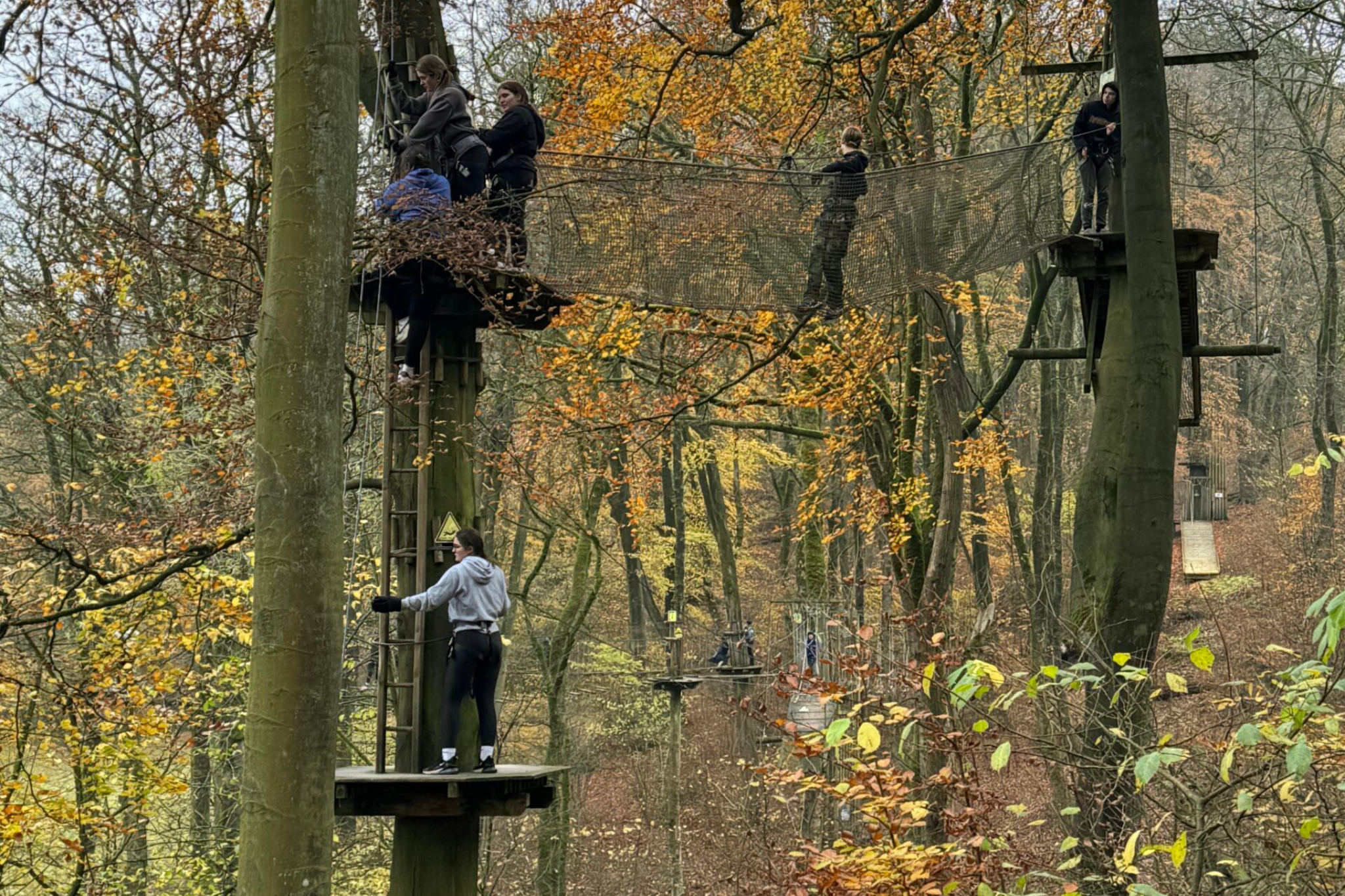 Students are on an enrichment trip at Go Ape