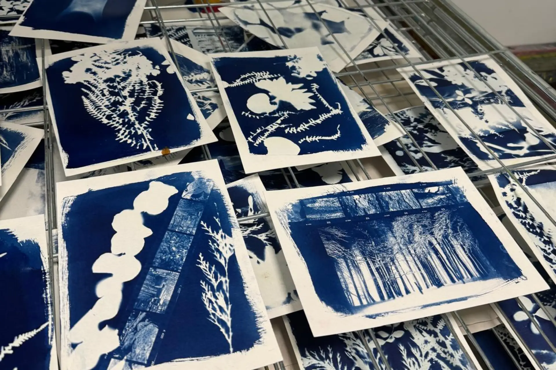 a collection of cyanotype photography photos