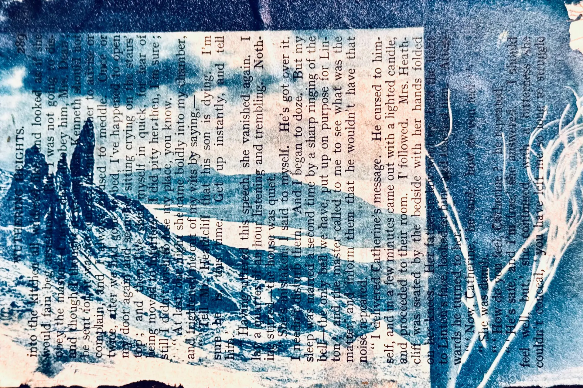 cyanotype photography photo