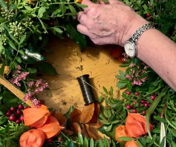 474263669_583327064512161_6579127698869968367_n